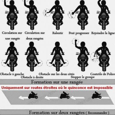Signaux de base